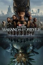 Watch Black Panther: Wakanda Forever Watch123movies