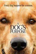 Watch A Dog's Purpose Watch123movies
