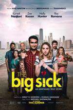 Watch The Big Sick Watch123movies