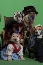 Watch Heidi 4 Paws Watch123movies