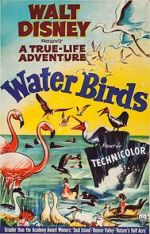 Watch Water Birds (Short 1952) Watch123movies