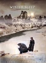 Watch Somn de iarnã Watch123movies