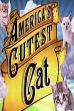 Watch America's Cutest Cat Watch123movies