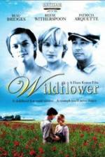 Watch Wildflower Watch123movies