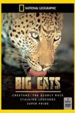 Watch National Geographic: Living With Big Cats Watch123movies