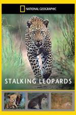 Watch National Geographic: Stalking Leopards Watch123movies