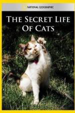 Watch National Geographic The Secret Life of Cats Watch123movies