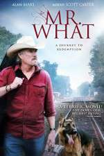 Watch Mr What Watch123movies