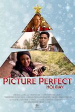 Watch A Picture Perfect Holiday Watch123movies