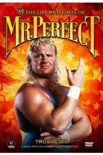 Watch The Life and Times of Mr Perfect Watch123movies