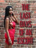 Watch The Last Days of an Escort Watch123movies
