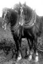 Watch All the King\'s Horses Watch123movies