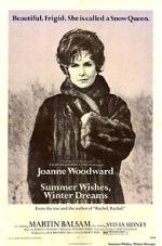 Watch Summer Wishes, Winter Dreams Watch123movies