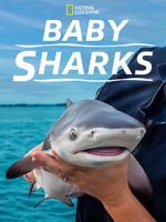 Watch Baby Sharks Watch123movies