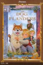 Watch The Dog of Flanders Watch123movies