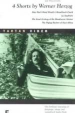 Watch La Soufria?re - Waiting For An Inevitable Disaster Watch123movies