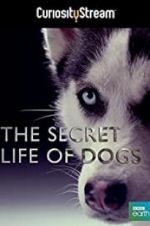 Watch Secret Life of Dogs Watch123movies
