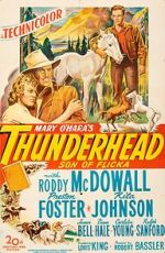 Watch Thunderhead: Son of Flicka Watch123movies