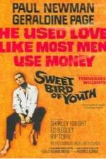 Watch Sweet Bird of Youth Watch123movies