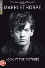 Watch Mapplethorpe: Look at the Pictures Watch123movies