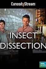 Watch Insect Dissection: How Insects Work Watch123movies