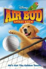 Watch Air Bud Spikes Back Watch123movies