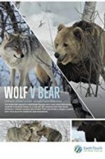 Watch Wolf vs Bear Watch123movies