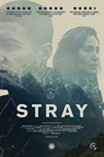 Watch Stray Watch123movies