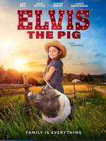 Watch Elvis the Pig Watch123movies