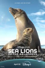 Watch Sea Lions of the Galapagos (TV Special 2025) Watch123movies