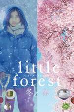 Watch Little Forest: Winter/Spring Watch123movies