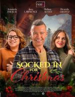 Watch The Great Christmas Snow-In Watch123movies