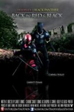 Watch Deadpool and the Black Panther Watch123movies