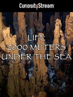 Watch Life 2,000 Meters Under the Sea Watch123movies