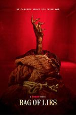 Watch Bag of Lies Watch123movies