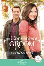 Watch The Convenient Groom Watch123movies