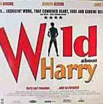 Watch Wild About Harry Watch123movies