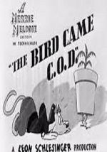 Watch The Bird Came C.O.D. (Short 1942) Watch123movies