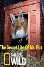 Watch The Secret Life of Mr. Fox Watch123movies