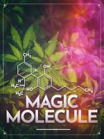 Watch Magic Molecule Watch123movies
