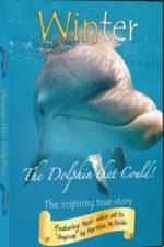 Watch Winter The Dolphin That Could Watch123movies