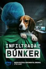 Watch Infiltrada en el búnker Watch123movies