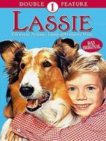 Watch Lassie: A New Beginning Watch123movies