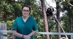 Watch Sue Perkins and the Chimp Sanctuary Watch123movies