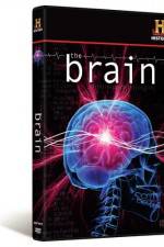 Watch The Brain Watch123movies