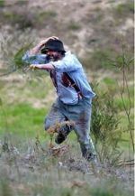 Watch Riot or Revolution: Eureka Stockade 1854 Watch123movies