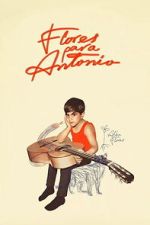 Watch Flores para Antonio Watch123movies