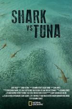 Watch Shark vs Tuna Watch123movies