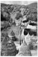 Watch Shelter Watch123movies