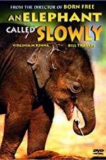 Watch An Elephant Called Slowly Watch123movies